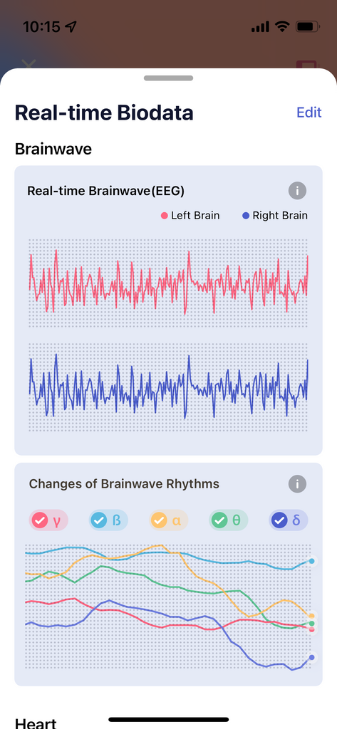 What is Brainwave Rhythms